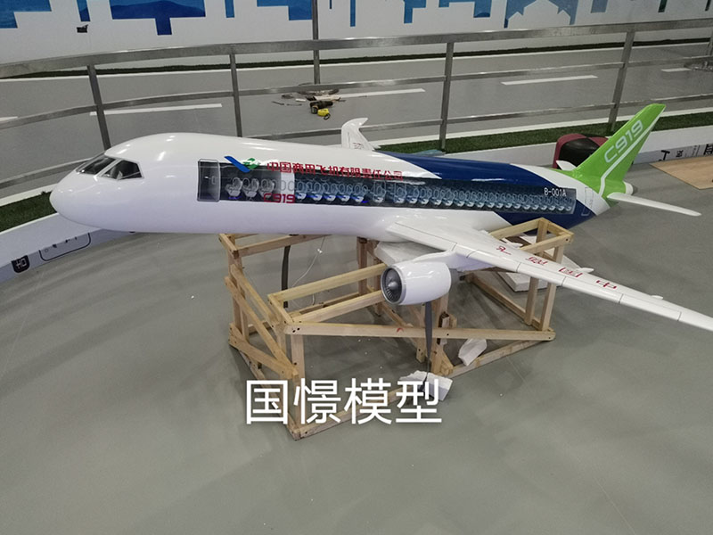 柞水县飞机模型