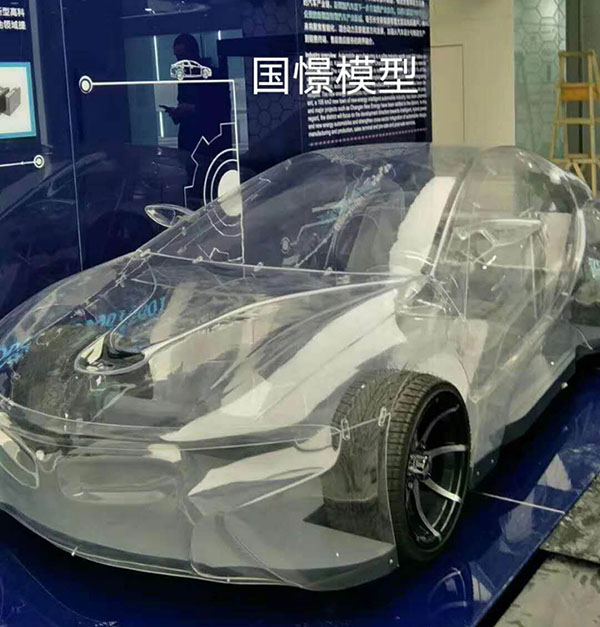 柞水县透明车模型