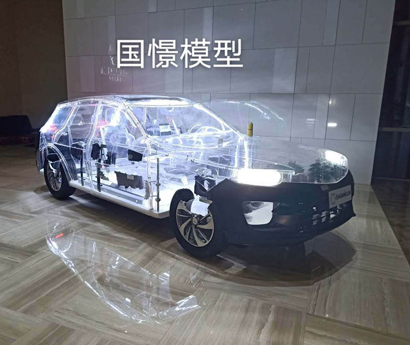 柞水县透明车模型